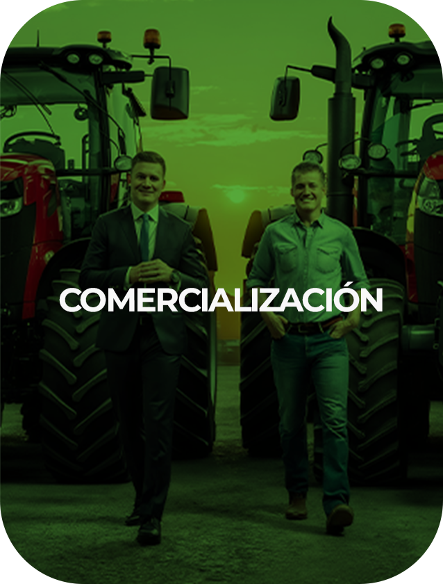 COMERCIALIZAÇÃO