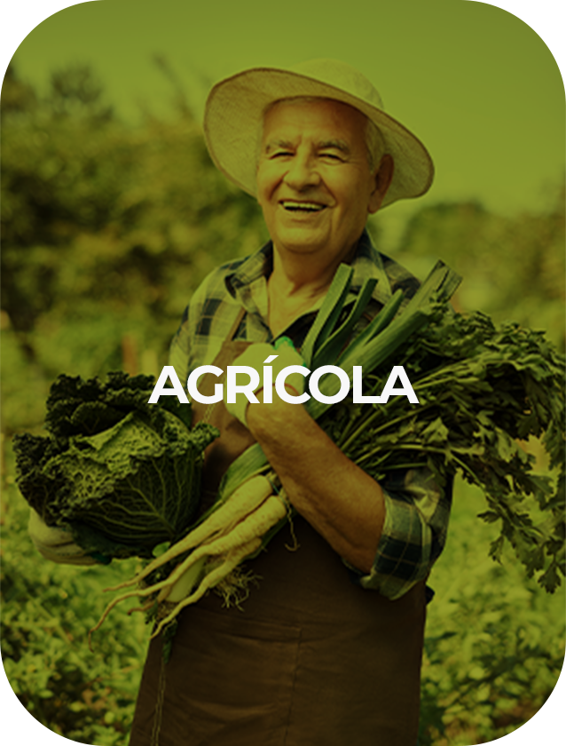 agrícola