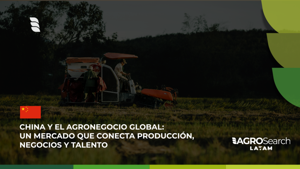 China y el agronegocio global: un mercado que conecta producción, negocios y talento